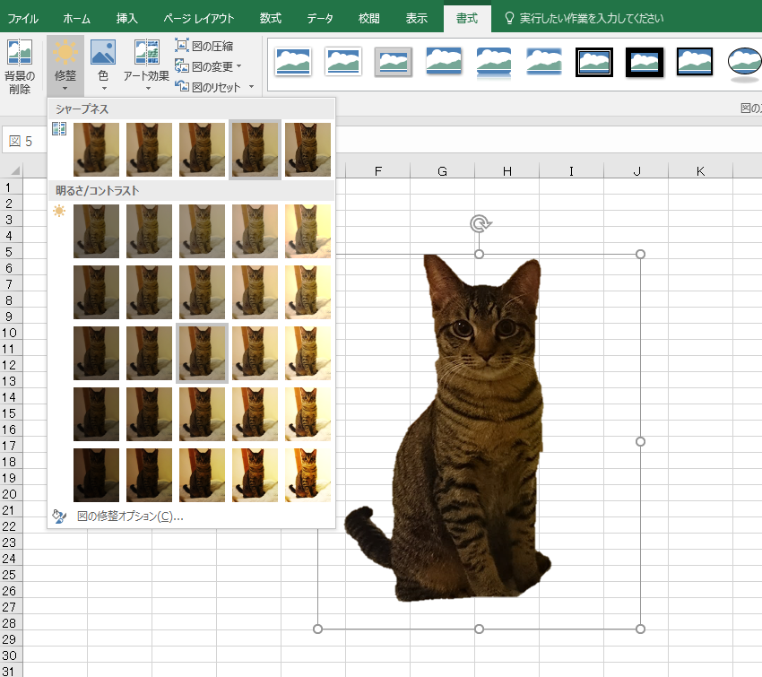 エクセル Excel で写真をトリミング 画像を切り抜き しよう ネコチラブログ