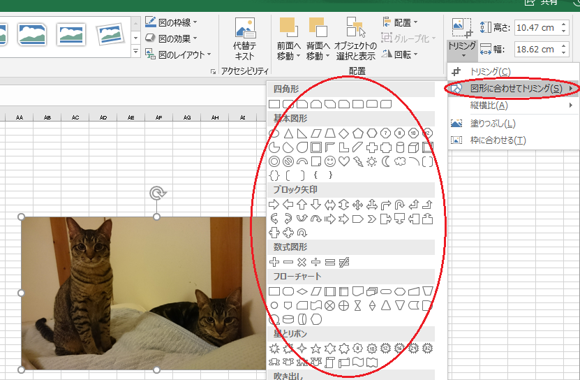 エクセル Excel で写真をトリミング 画像を切り抜き しよう ネコチラブログ