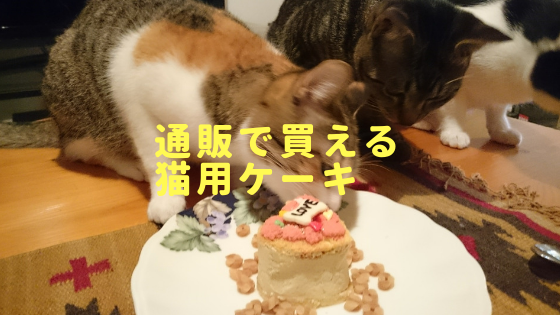 猫用で可愛い 手作りケーキ屋さんの通販サイトまとめ ネコチラブログ
