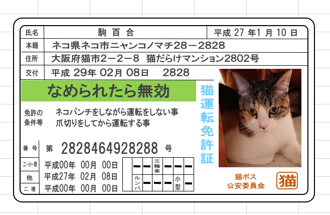 なめんなよ なめ猫の免許証をエクセルで作ってみたよ ネコチラブログ