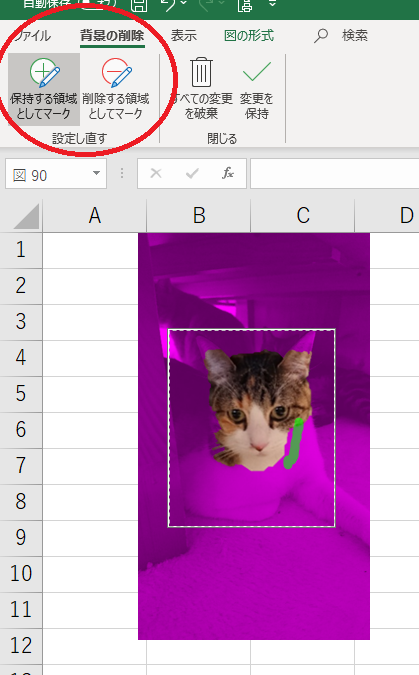 なめんなよ なめ猫の免許証をエクセルで作ってみたよ ネコチラブログ