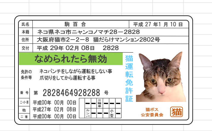 なめんなよ なめ猫の免許証をエクセルで作ってみたよ ネコチラブログ
