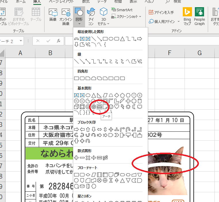 なめんなよ なめ猫の免許証をエクセルで作ってみたよ ネコチラブログ
